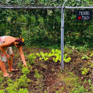 Woman interacting with soil and in observation of Permaculture's first principle