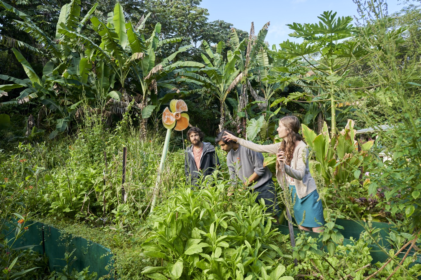 A group of work traders working in the garden under the morning sun