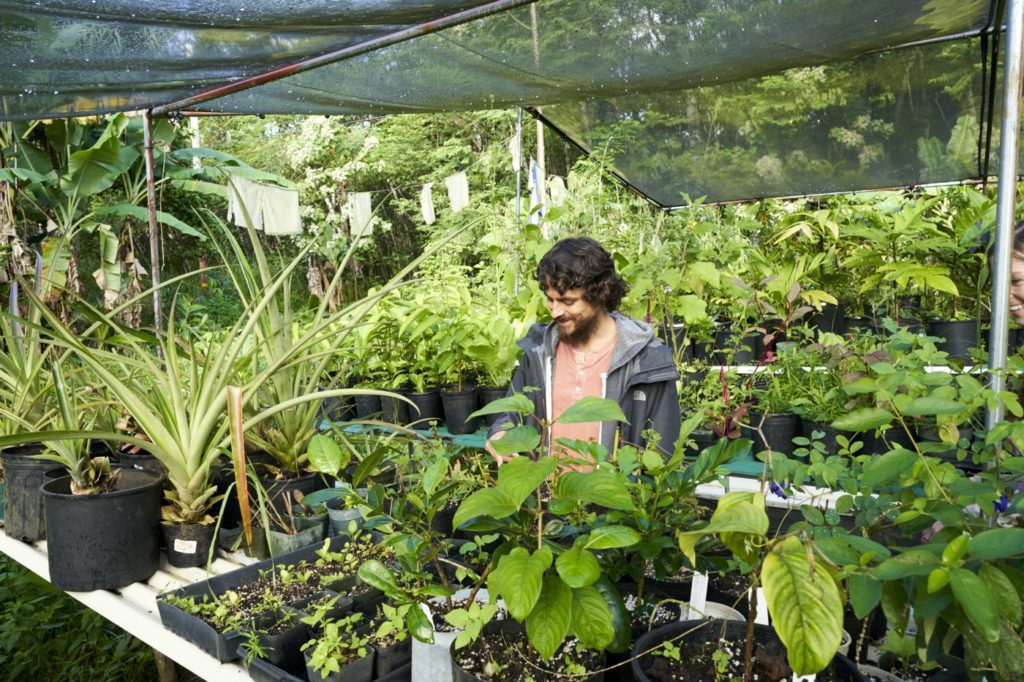 A work trader working in the gardens planting seeds