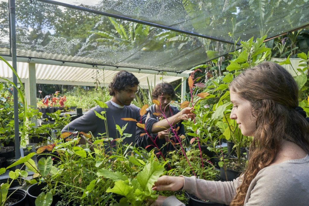 Kalani community members at the garden shed working with plants