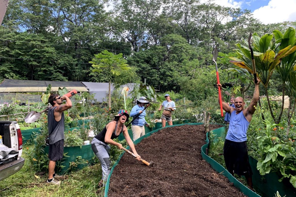 Kalani garden volunteers working on the raised beds on the farm