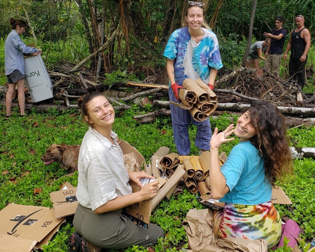 Kalani's work traders working in the field collecting mulch