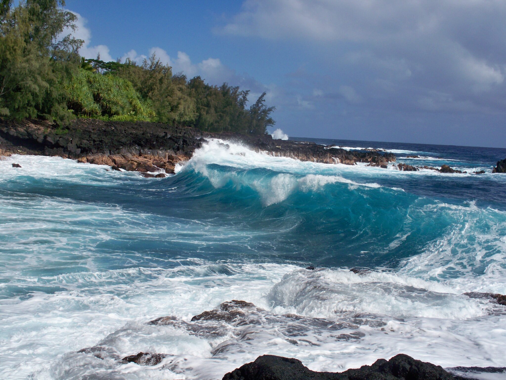 A Day In The Life of Kalani Ecstatic Dance By Kristen O'guin
